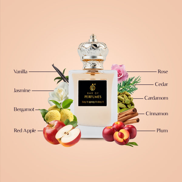 Nomad Nirvana I For Men I Aromatic Fougère Fragrance I Available in 50 ML Spray